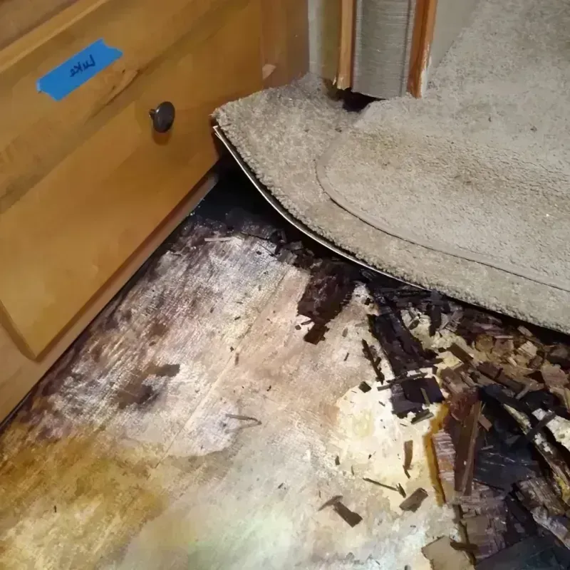 Wood Floor Water Damage in Royal Oak, MI